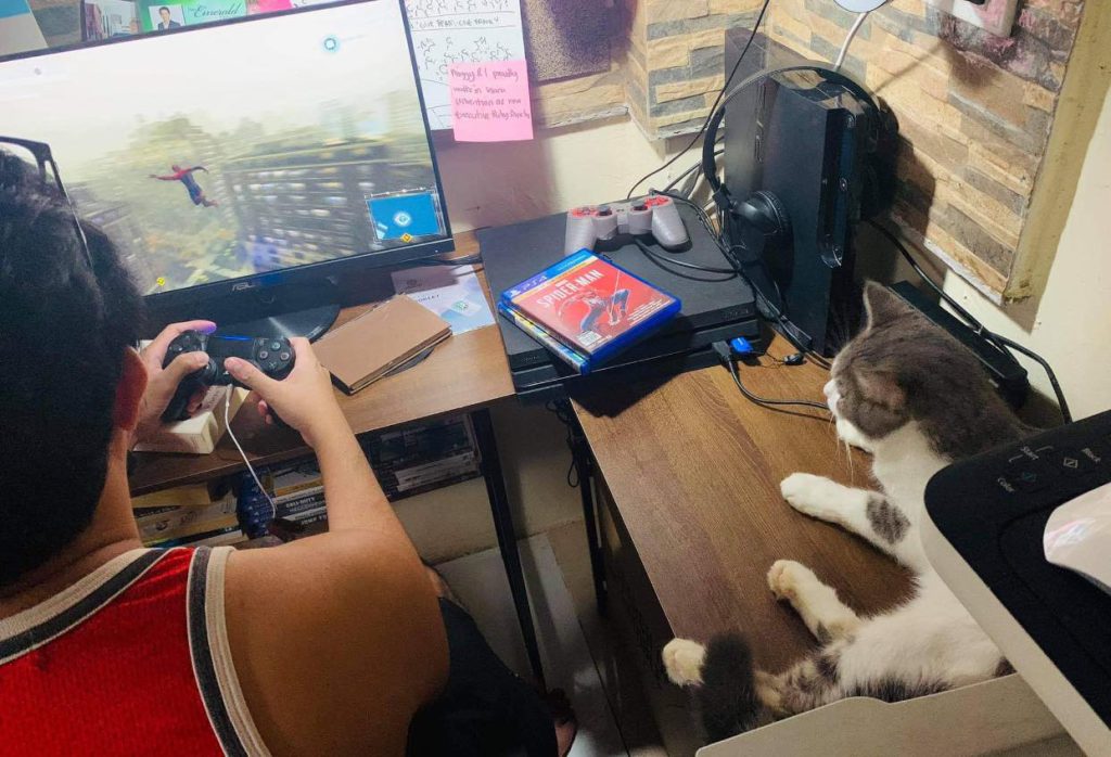 kwing playing while my cat, Jiming is watching