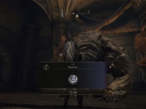 What does Beast Eye Quivers Mean in Elden Ring?